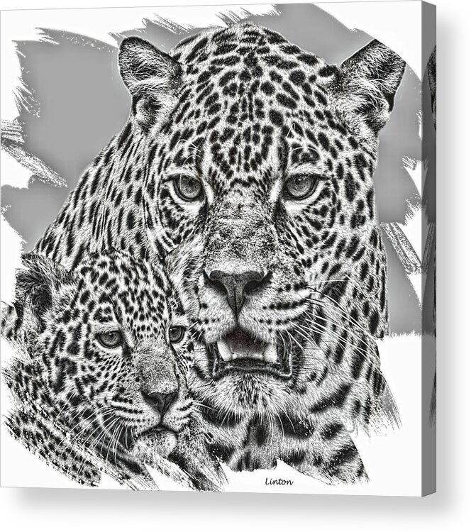 Jaguar Acrylic Print featuring the digital art Jaguar Motherhood by Larry Linton