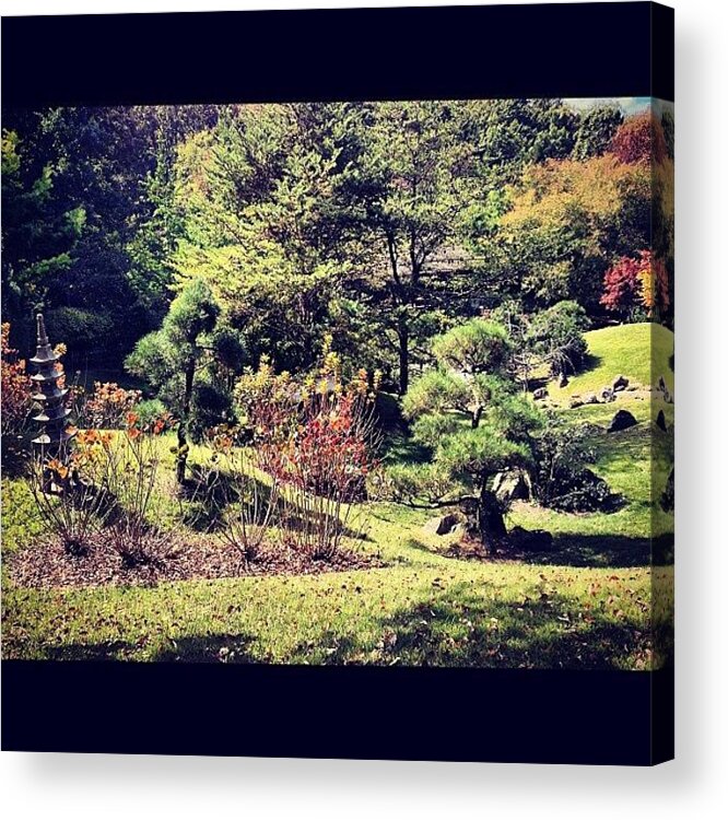 Art Acrylic Print featuring the photograph Japanese Garden Overlook by In Between Poses