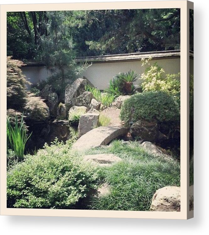  Acrylic Print featuring the photograph Japanese Garden by Phil Schroder