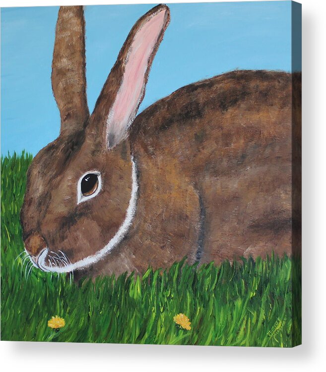 Rabbit Acrylic Print featuring the painting Little Brown Bunny by Christie Minalga