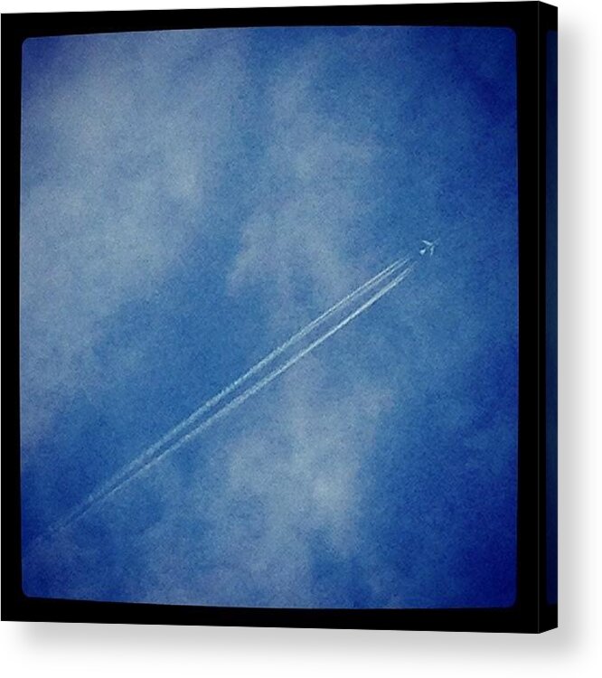 Sky Acrylic Print featuring the photograph Looking Up by Hello Gorgeous