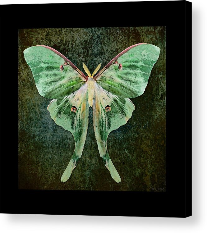 Moth Acrylic Print featuring the digital art Luna by Deborah Smith