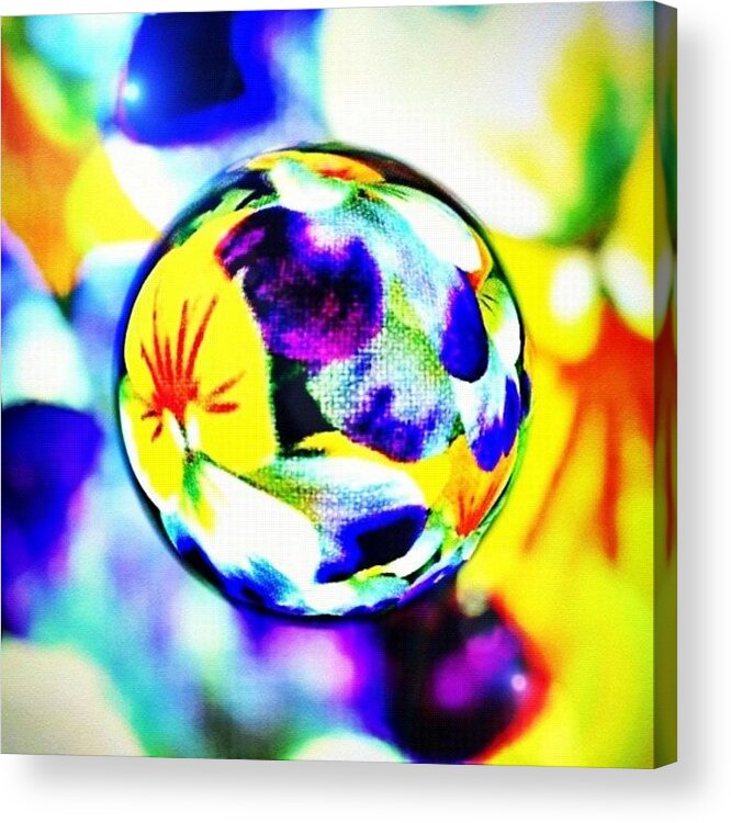 Beautiful Acrylic Print featuring the photograph #marble #flower #gang_family #gf_daily by Jason Fang