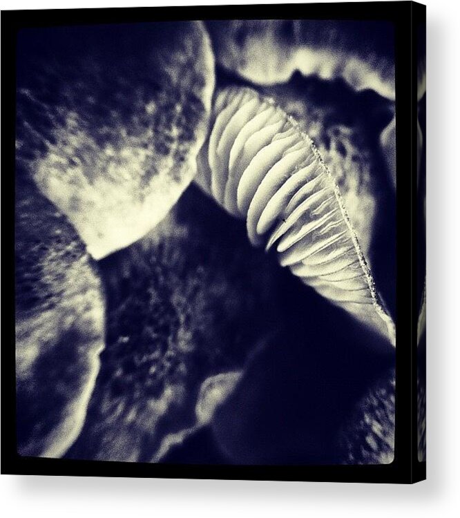Blackandwhite Acrylic Print featuring the photograph Mushroom Smile by Dave Edens