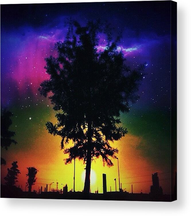 Photoshop Acrylic Print featuring the photograph My Dreams Are Necessary To My Life by Lester Starnuto