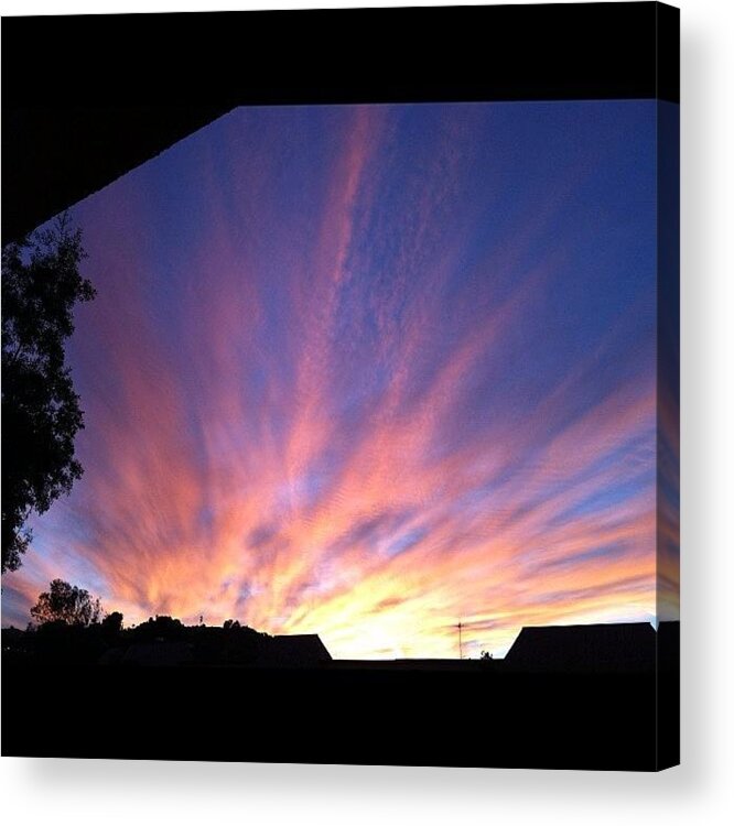 No Filter Acrylic Print featuring the photograph My View by Rose Champagne