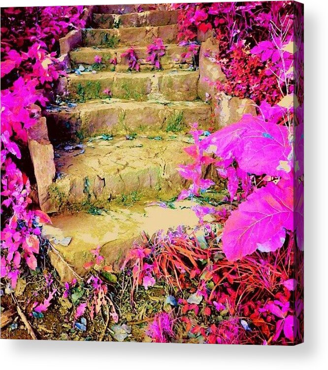 Pink Acrylic Print featuring the photograph #nature #stone #steps #fantasy #pink by Jami Tammerine