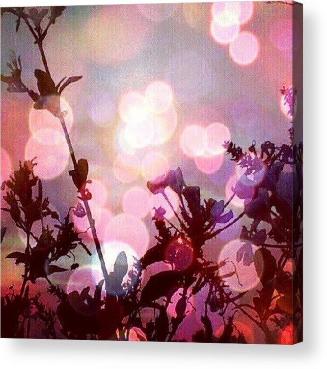 Love Acrylic Print featuring the photograph Ojai Pink Moment @ Jodis... #skyporn by Narayan Beauty