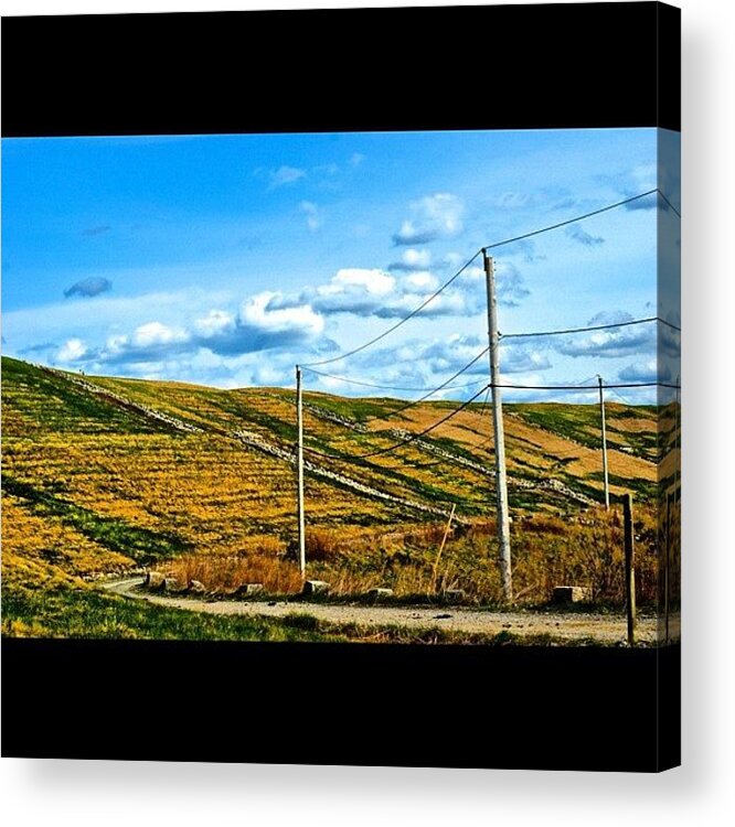 Color Acrylic Print featuring the photograph On The Range by Richard Santiago