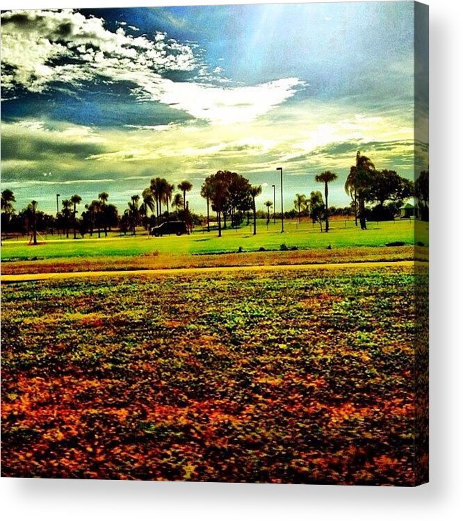 Florida Acrylic Print featuring the photograph On The Road #florida by Estefania Leon