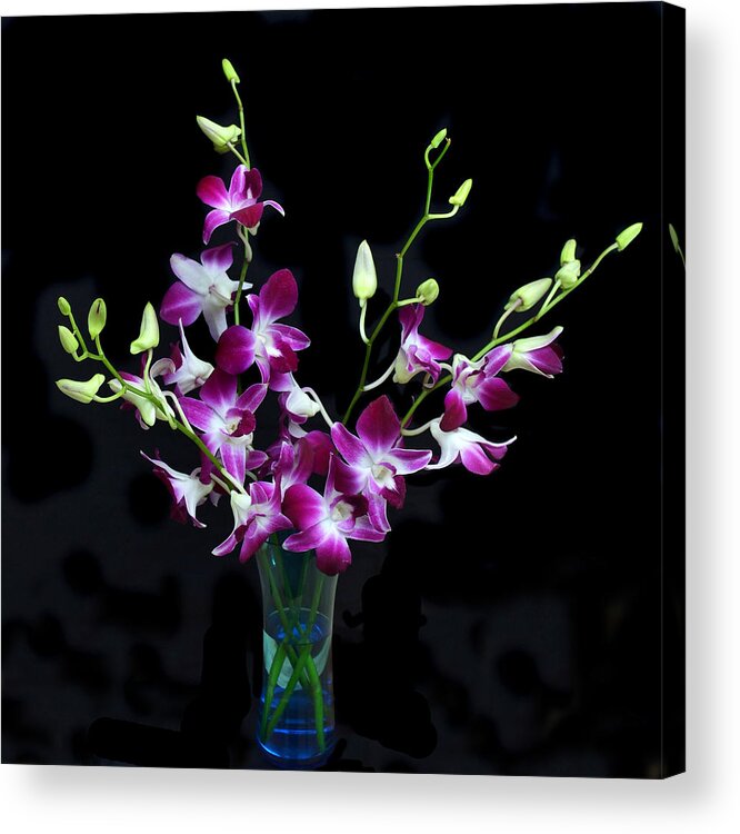 Orchid Acrylic Print featuring the photograph Orchid Spray. by Terence Davis