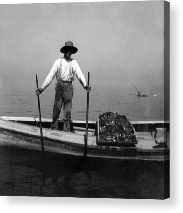 chesapeake Bay Acrylic Print featuring the photograph Oyster Fishing on the Chesapeake Bay - Maryland - c 1905 by International Images