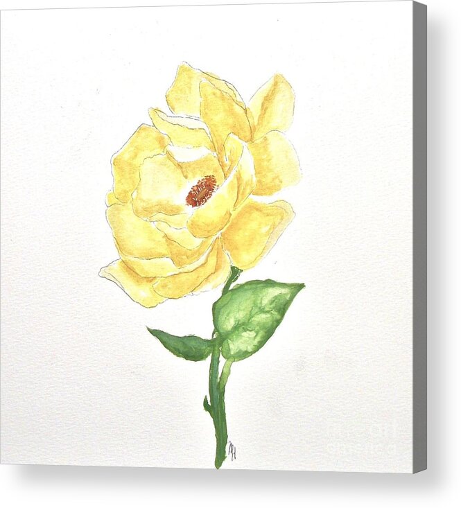 Painted Yellow Rose Acrylic Print By Marsha Heiken