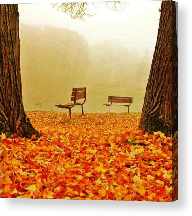 Fall Acrylic Print featuring the photograph Park Benches by Edward Sobuta
