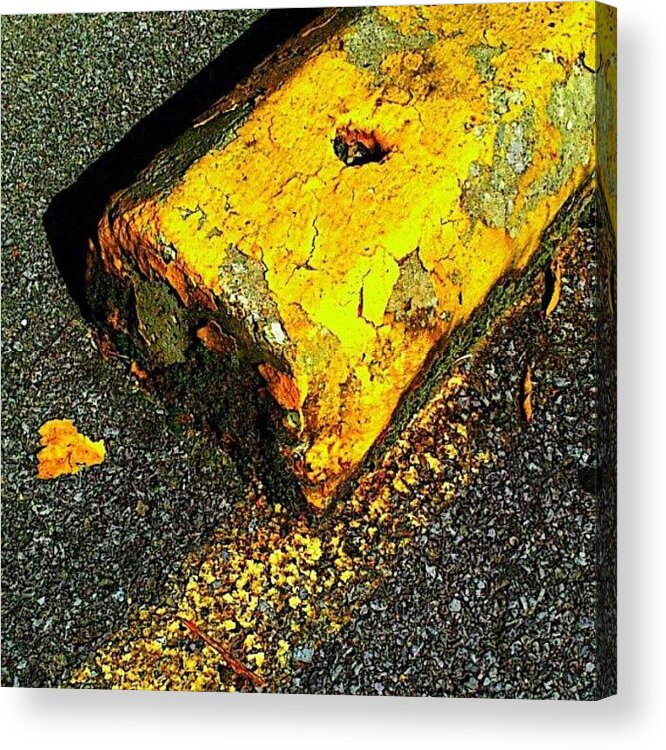 Instagram Acrylic Print featuring the photograph Parking / Curb by Elisa Franzetta