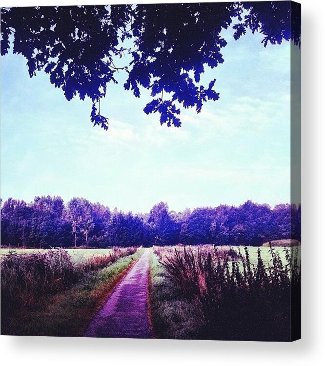 Woods Acrylic Print featuring the photograph Path To A Happy Mind by Chrit Werdmolder Smeets