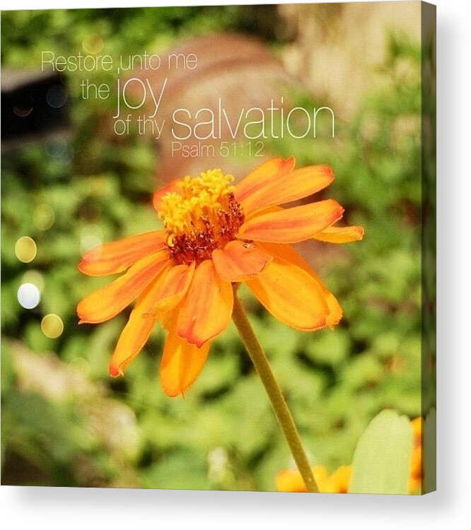 Godisgood Acrylic Print featuring the photograph restore Unto Me The Joy Of Thy by Traci Beeson