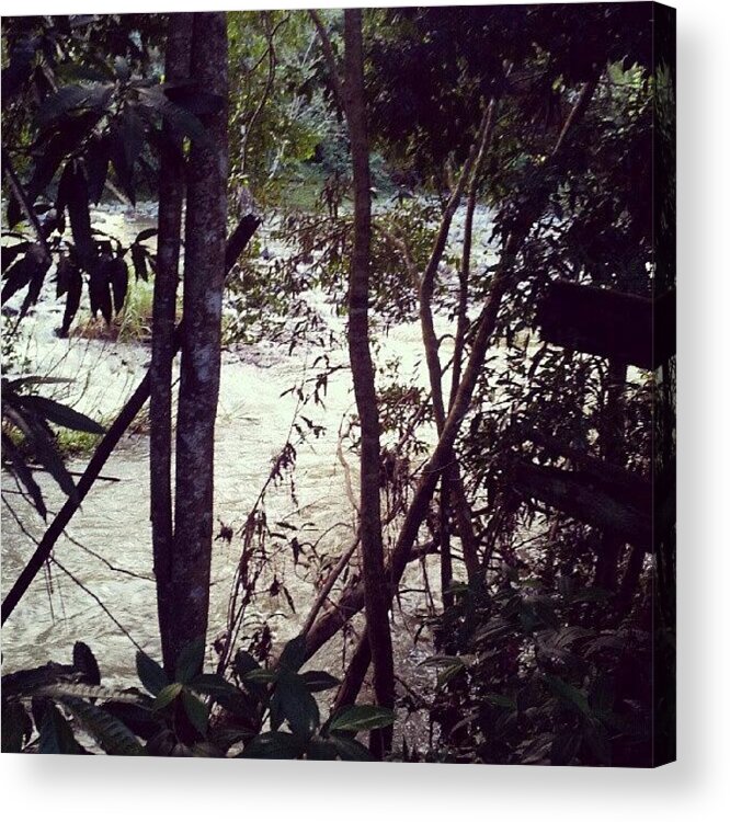 Water Acrylic Print featuring the photograph #river #nature #water #puertorico by Maribel Del valle