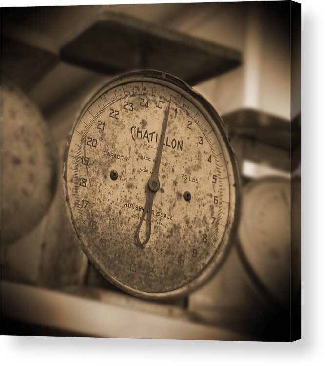 Scale Acrylic Print featuring the photograph Scale by Mike McGlothlen