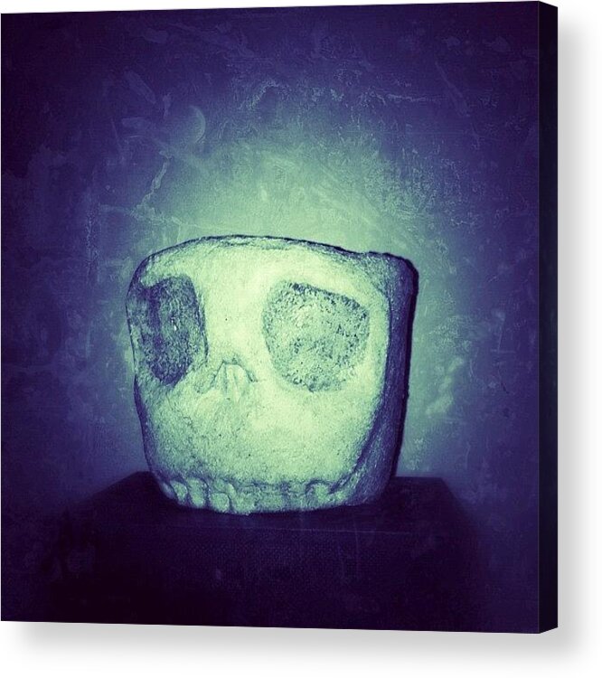  Acrylic Print featuring the photograph Skull Pot From Pot Heads by Dave Edens