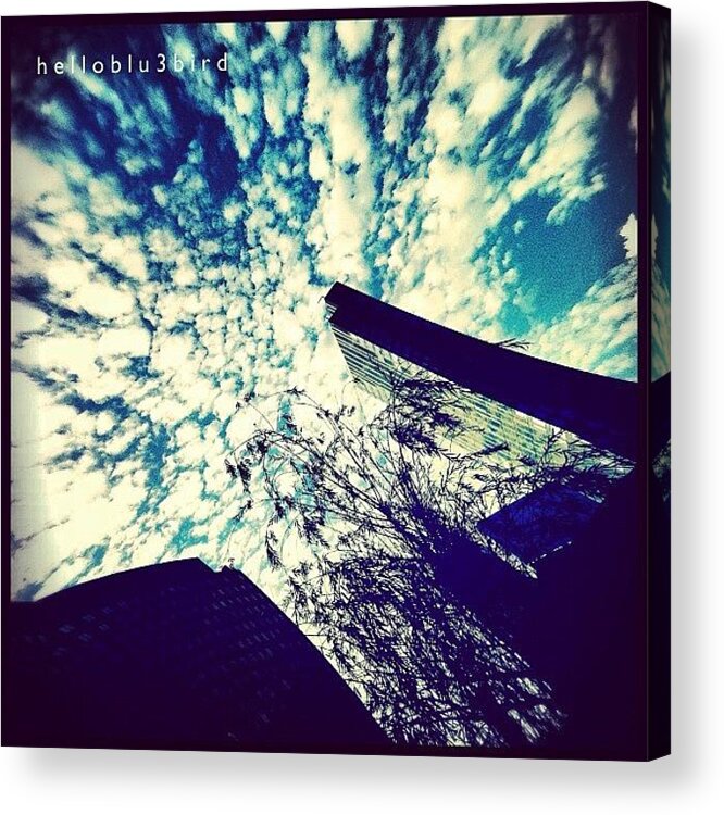 Art Acrylic Print featuring the photograph Sky Talks by Mariama Rafetna