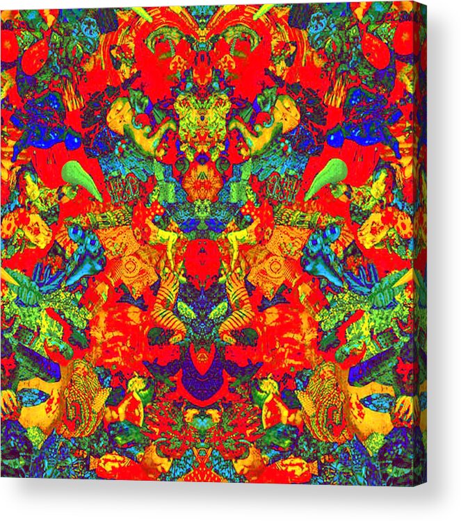 Psychedelic Acrylic Print featuring the digital art Spirit Guide Square Format by Steve Fields