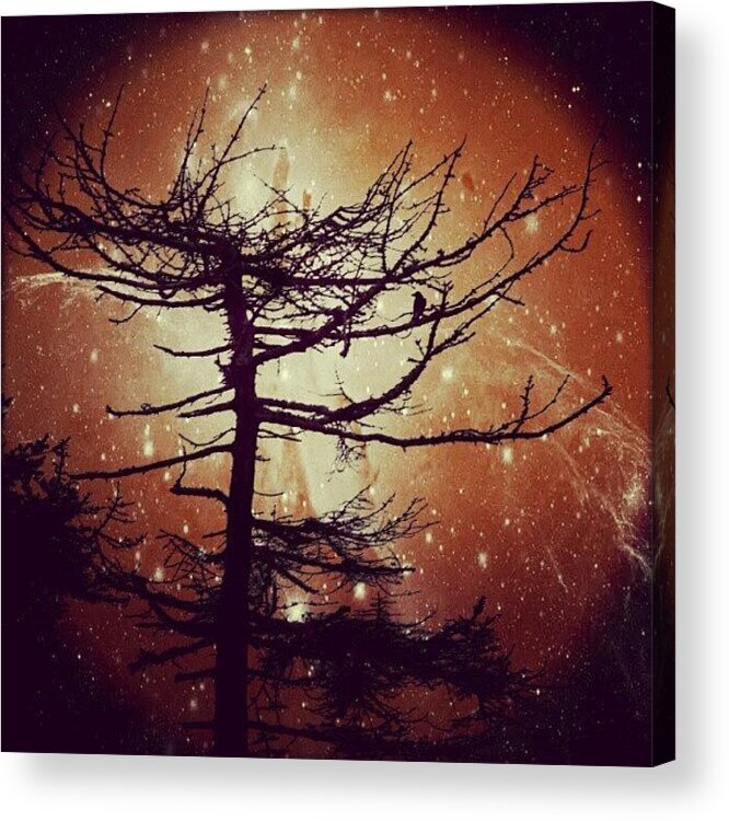 Scary Acrylic Print featuring the photograph Starry Night by Linandara Linandara