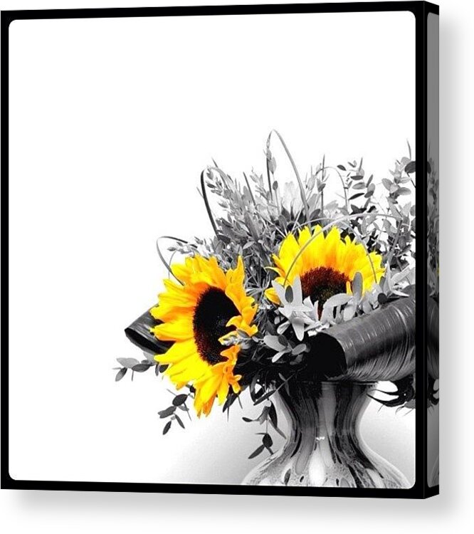 Photo Acrylic Print featuring the photograph Sunflower by Mark B