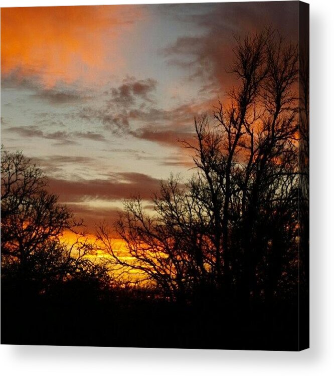  Acrylic Print featuring the photograph Sunset In Winter Ig by James Granberry