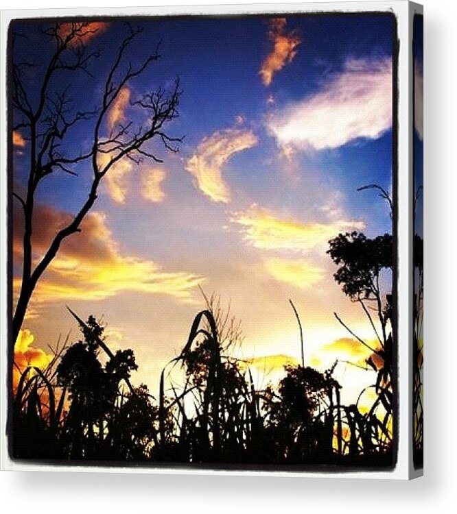 Beautiful Acrylic Print featuring the photograph Sunset Nonthaburi #igers #webstagram by Rocky Boat