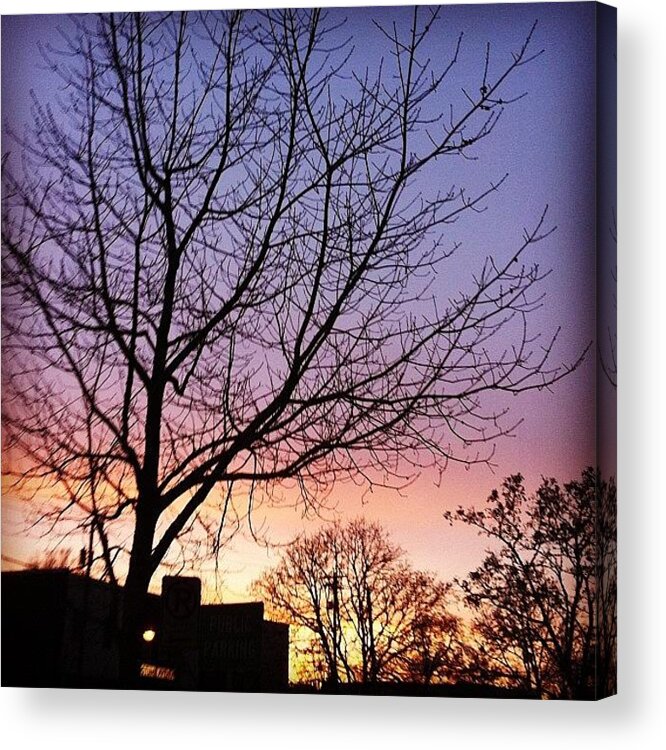 Autumn Acrylic Print featuring the photograph #sunset #pdx #dusk #trees #treebranches by Karen Clarke