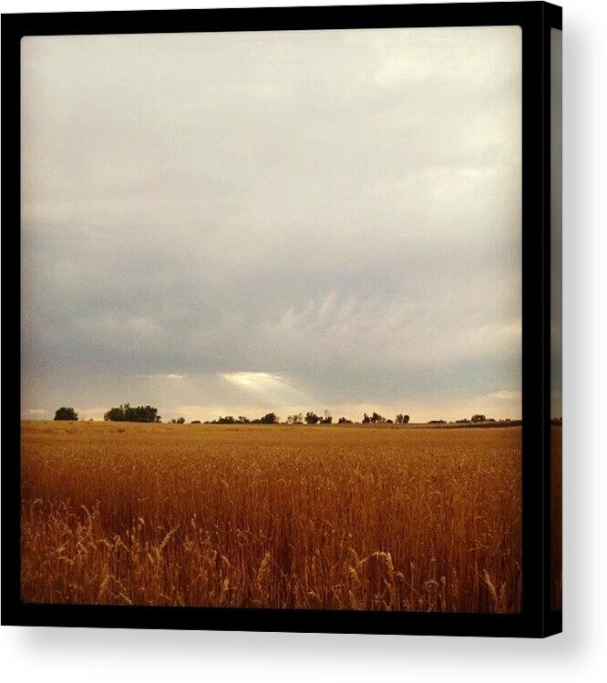 Ighub Acrylic Print featuring the photograph Sunshine Peaking Thru Clouds In The by Stephen Cooper