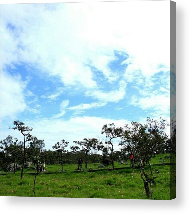 Beautiful Acrylic Print featuring the photograph Sweet Dream ^^ by Tsuyu Su