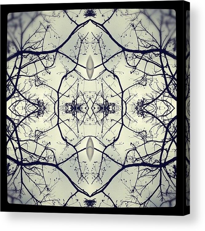 Symmetry Acrylic Print featuring the photograph #symetry #symmetry #patterns by Shayle Graham