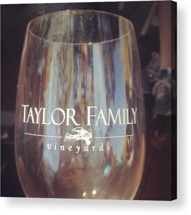 Taylorfamily Acrylic Print featuring the photograph The First Vineyard On The Tour! by Trey Jackson