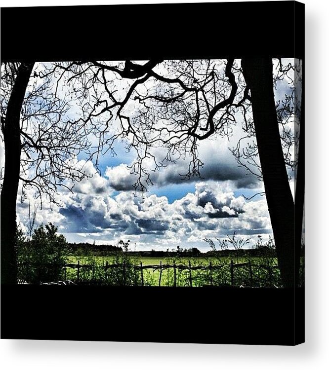 Jj Acrylic Print featuring the photograph The Other Side Of The Fence by Chris Barber
