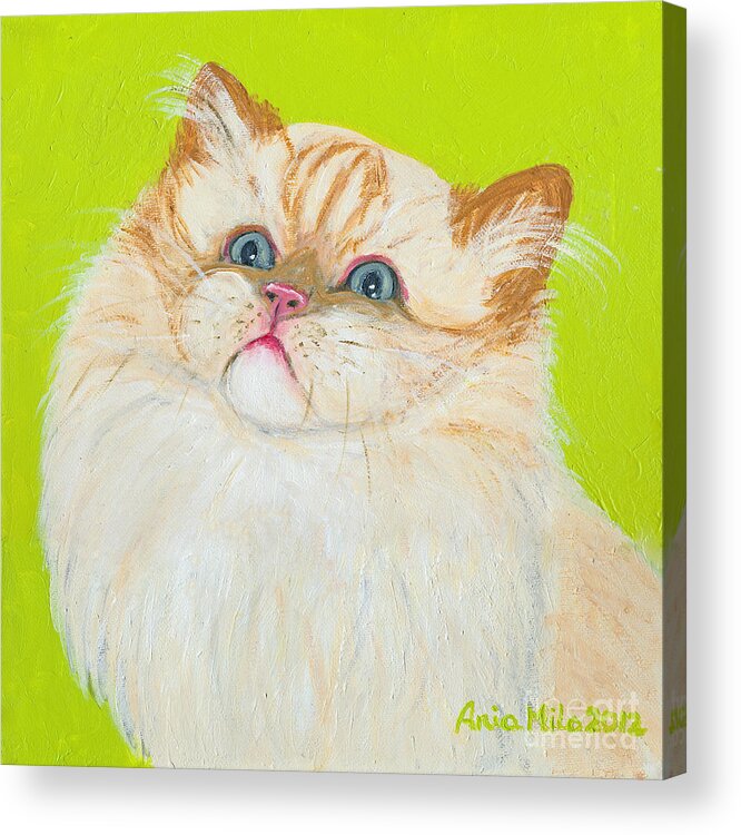 Cat Acrylic Print featuring the painting Treat Please by Ania M Milo