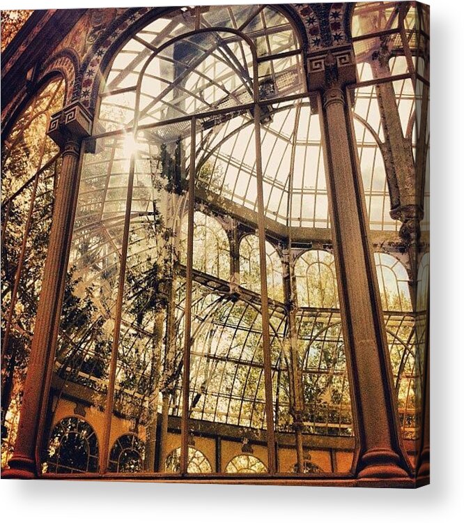 Retiro Acrylic Print featuring the photograph V2 by Adam Davies