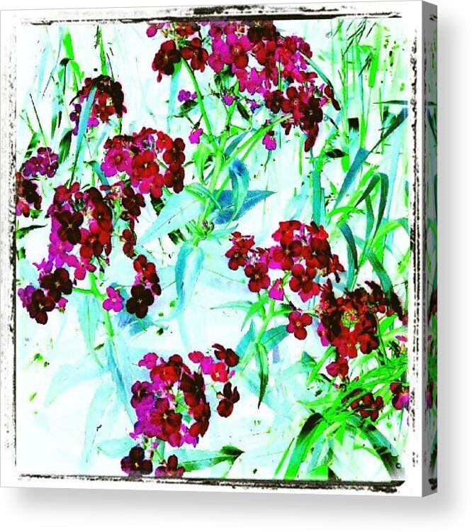 Mariannedow Acrylic Print featuring the photograph Watercolor Garden #android # by Marianne Dow