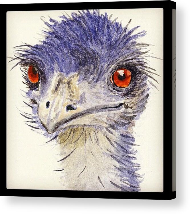 Sketch Acrylic Print featuring the photograph Watercolour Sketch Of Emu by Ruca Cao