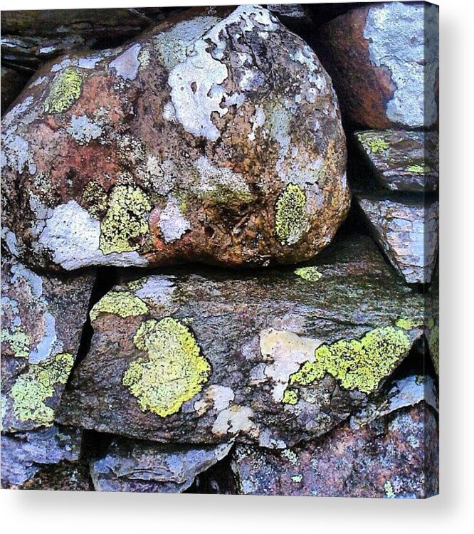 Dry Stone Wall Acrylic Print featuring the photograph Wet Dry Stone Wall by Nic Squirrell