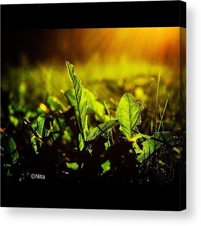  Acrylic Print featuring the photograph When I Look Back On May Life I See by Nita Tejnitid