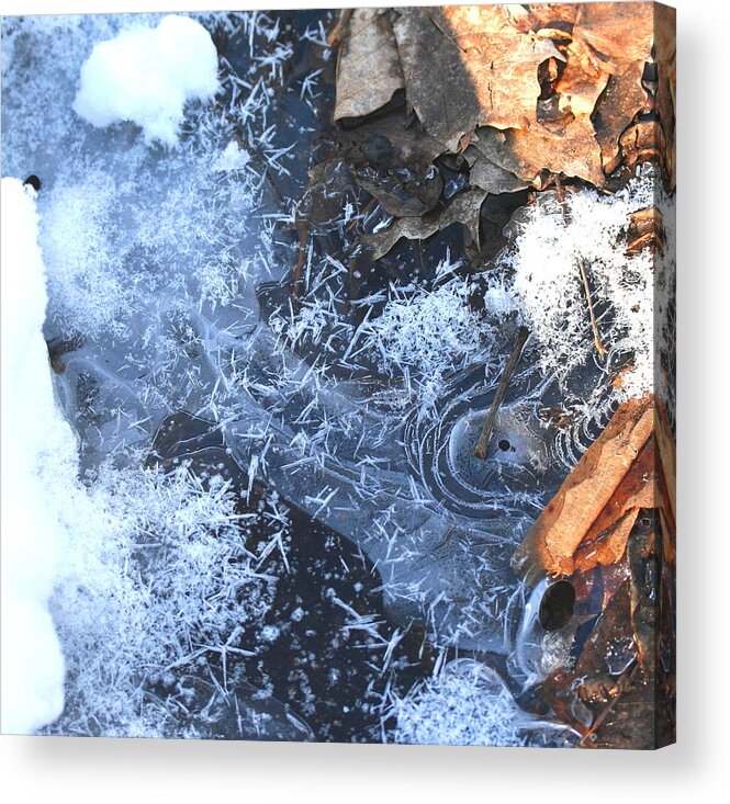 Water Acrylic Print featuring the photograph Winter Natural Art by Dr Carolyn Reinhart