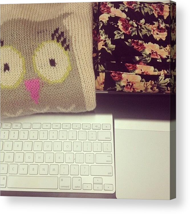 Workperks Acrylic Print featuring the photograph #workperks Free Owl Sweaters And Floral by Paige Hogan