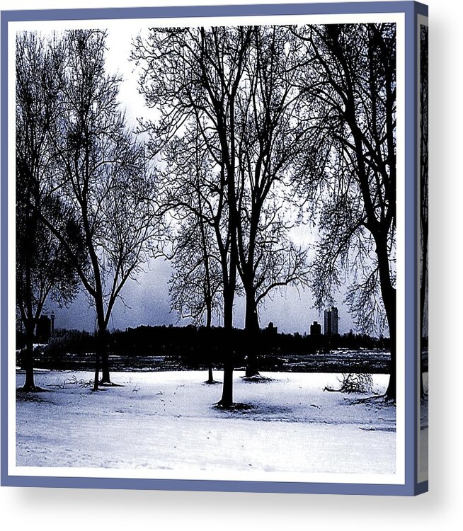 Photograph Acrylic Print featuring the photograph Winter's beauty 101 by Iris Gelbart
