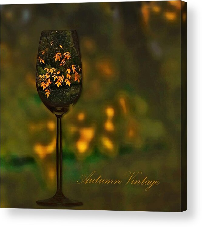 Wine Acrylic Print featuring the photograph Autumn Vintage #1 by Phyllis Meinke