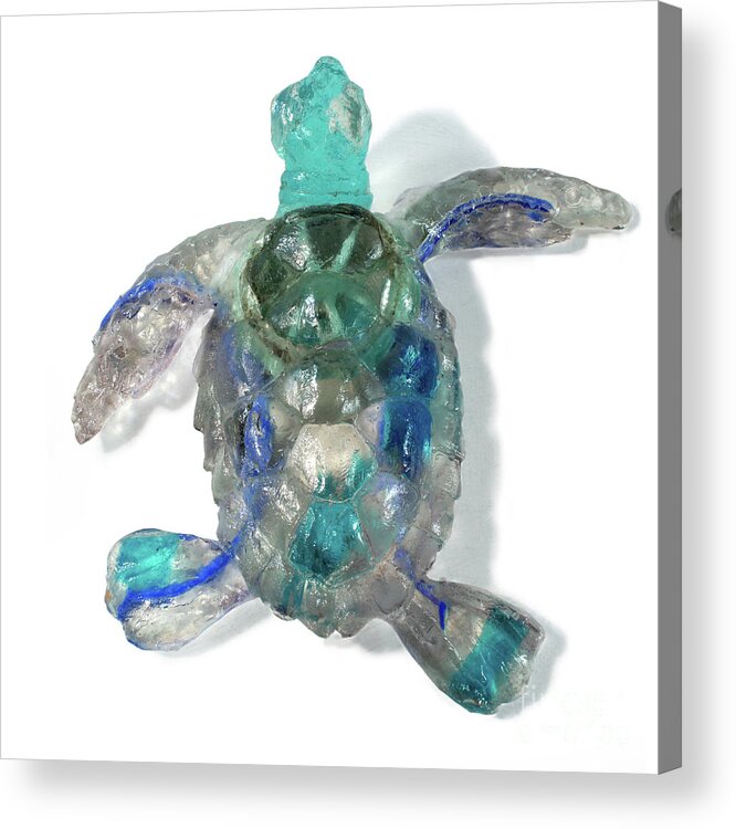 Sculpture Acrylic Print featuring the sculpture Baby Sea Turtle from the Feral Plastic series by Adam Long Sculp #1 by Adam Long