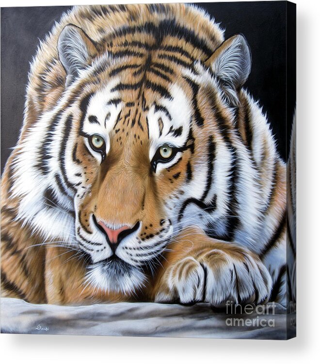 Tiger Acrylic Print featuring the painting Daydream #1 by Sandi Baker