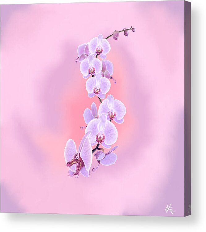 Flower Acrylic Print featuring the digital art Dragon Orchid #1 by Norman Klein
