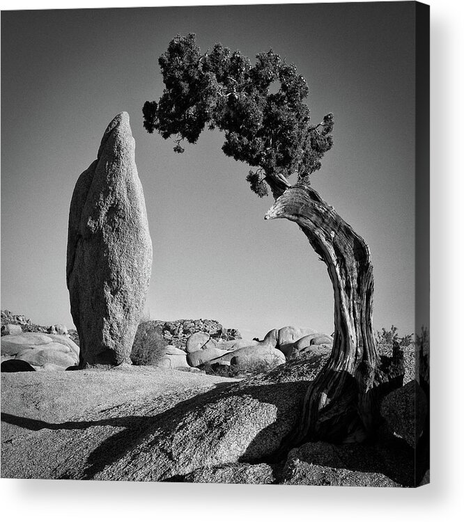 Black And White Acrylic Print featuring the photograph Duality by Ryan Weddle